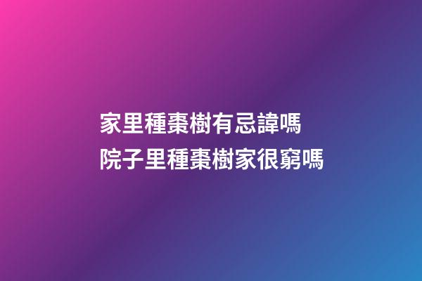 家里種棗樹有忌諱嗎 院子里種棗樹家很窮嗎